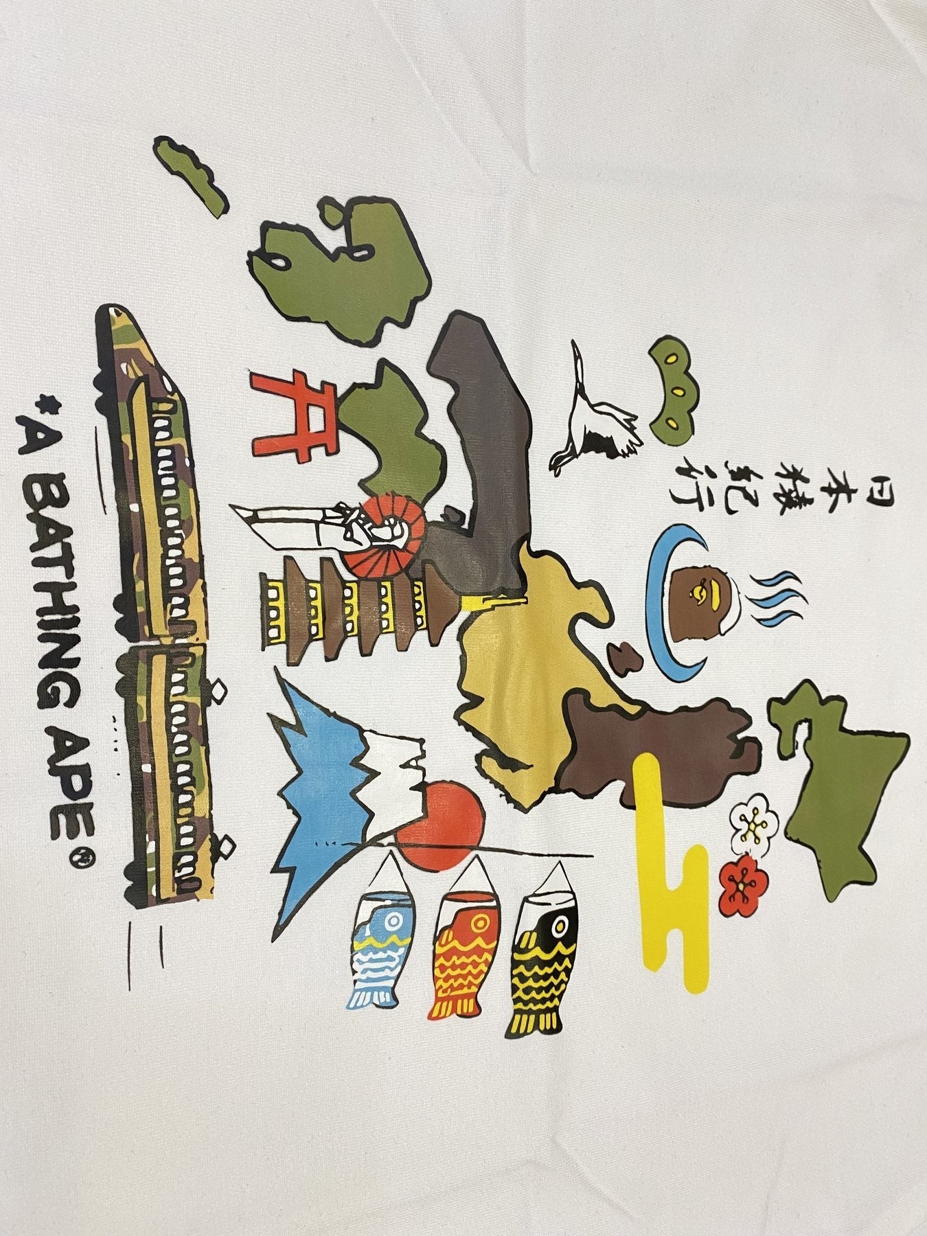 BAPE Japan Map Graphic T-Shirt — detail