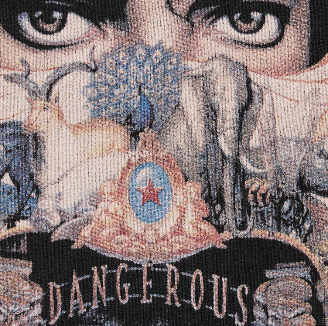 Supreme Graphic Sleeve Zip Hoodie — fabric_closeup